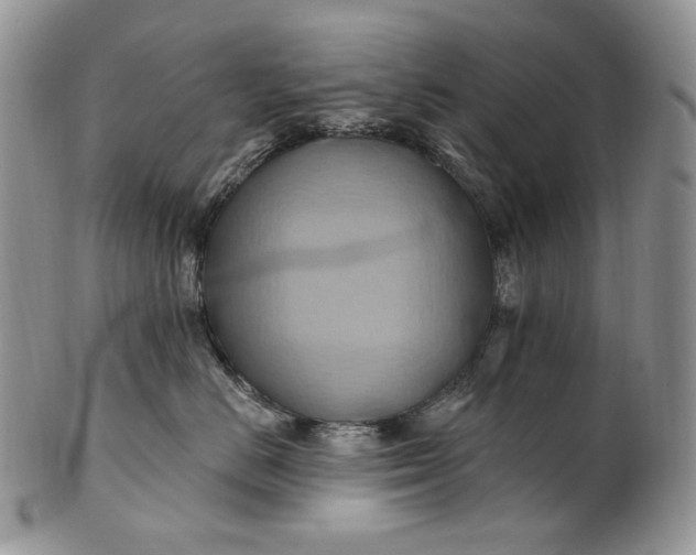 X0000100780670200807101818