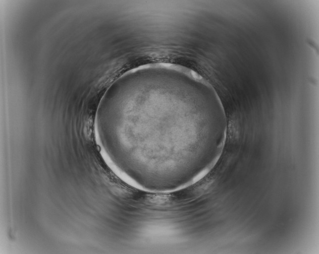 X0000100780671200807101818