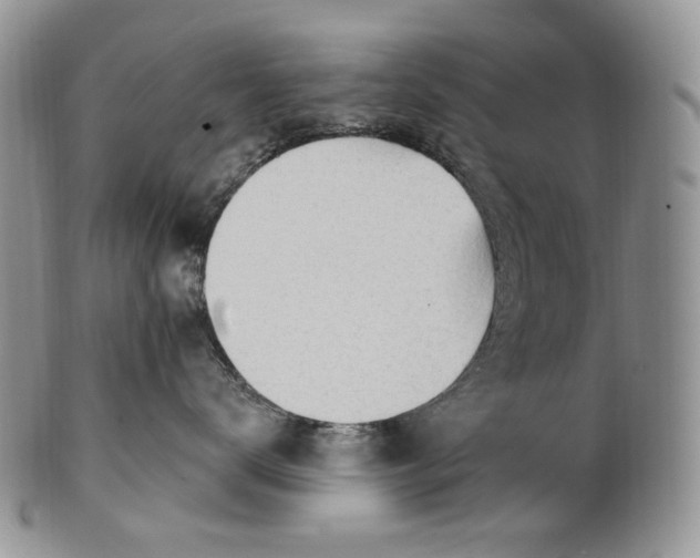 X0000100780672200807101818