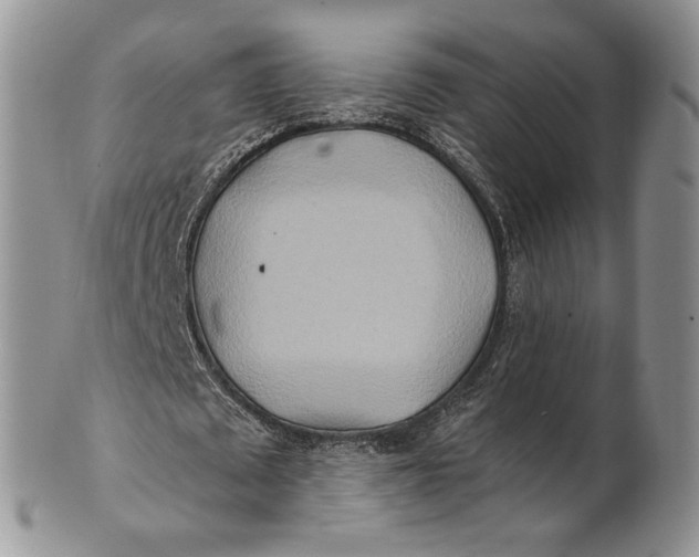 X0000100780673200807101817