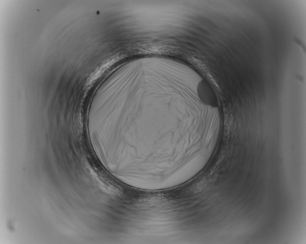 X0000100780674200807101817