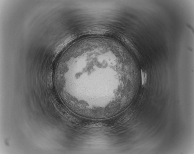 X0000100780675200807101817