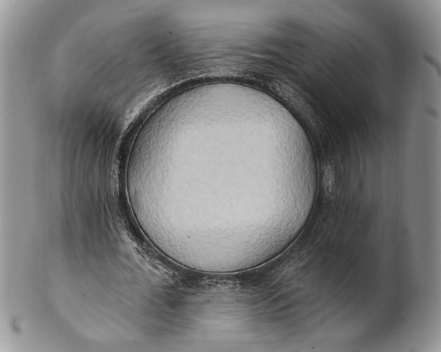 X0000100780676200807101817