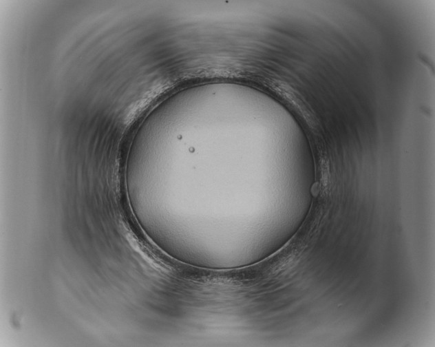 X0000100780677200807101817