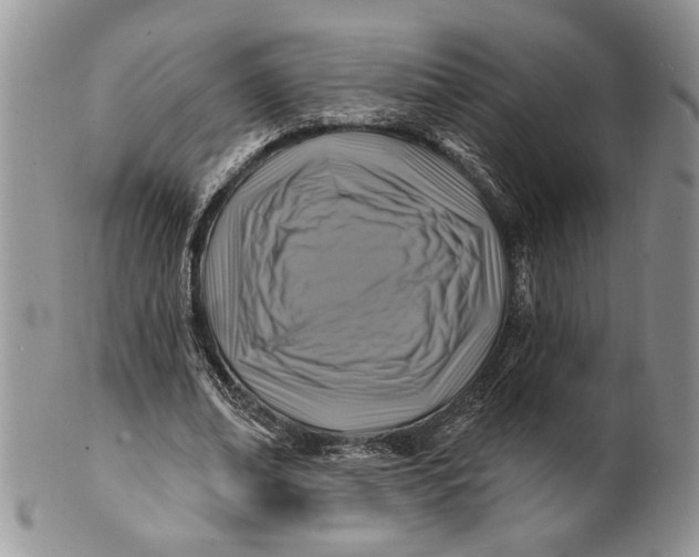 X0000100780678200807101817