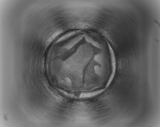 X0000100780679200807101817