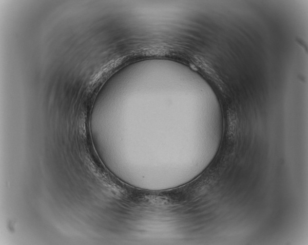 X0000100780681200807101817