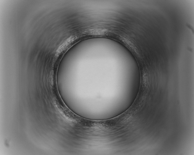 X0000100780682200807101817