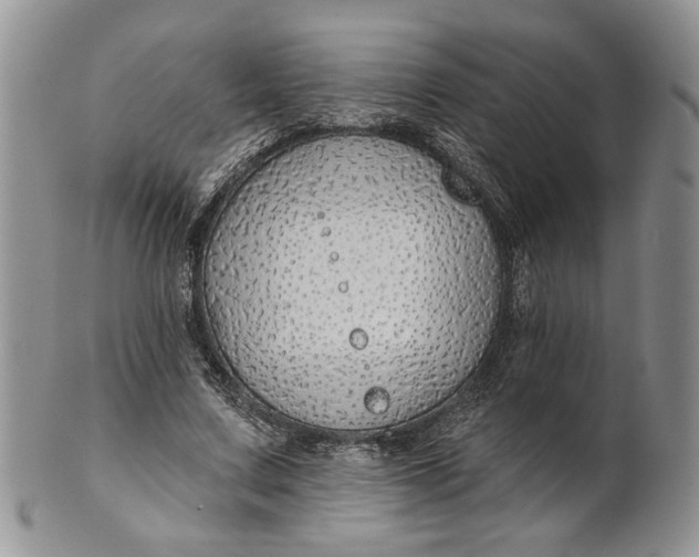 X0000100780683200807101817