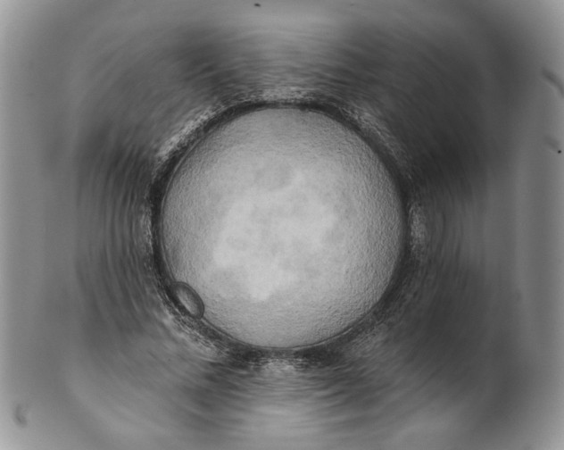 X0000100780684200807101817