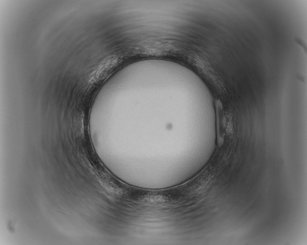 X0000100780685200807101817