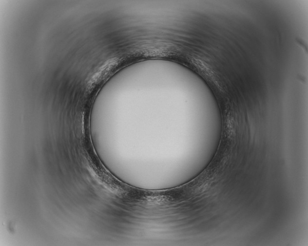 X0000100780686200807101817