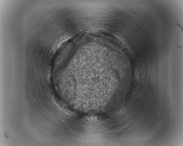 X0000100780687200807101817