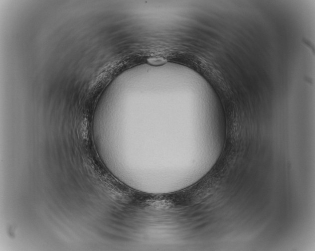 X0000100780689200807101817