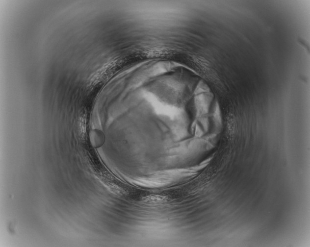 X0000100780691200807101817