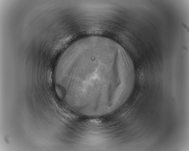 X0000100780692200807101817