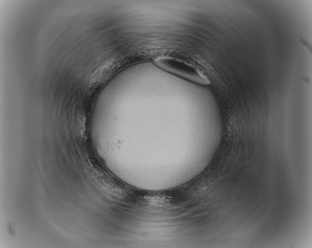 X0000100780693200807101817