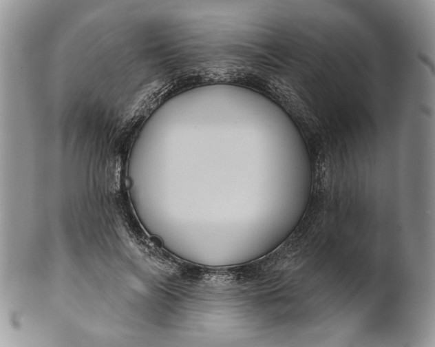 X0000100780694200807101817