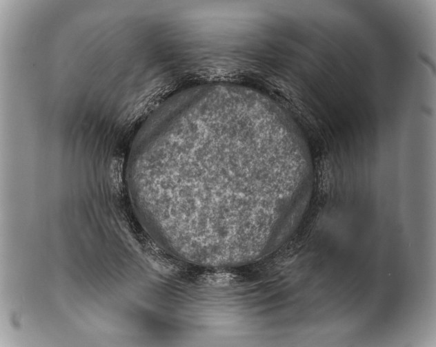 X0000100780695200807101817