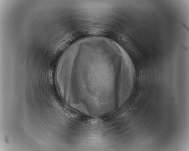 X0000100780696200807101817