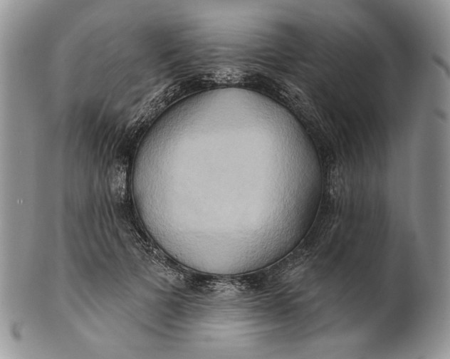 X0000100780697200807101817