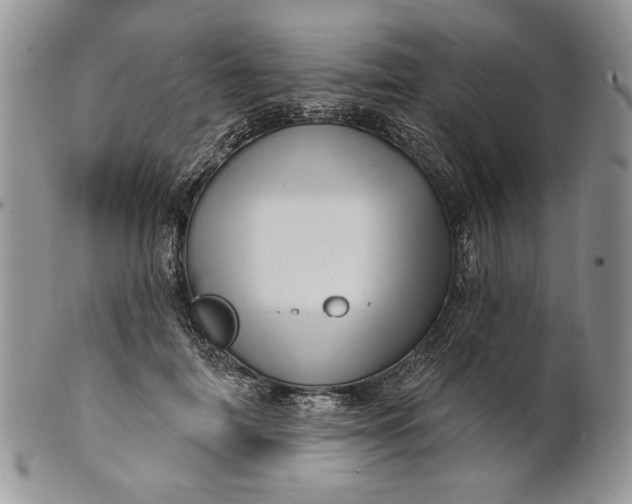 X0000100780698200807101817