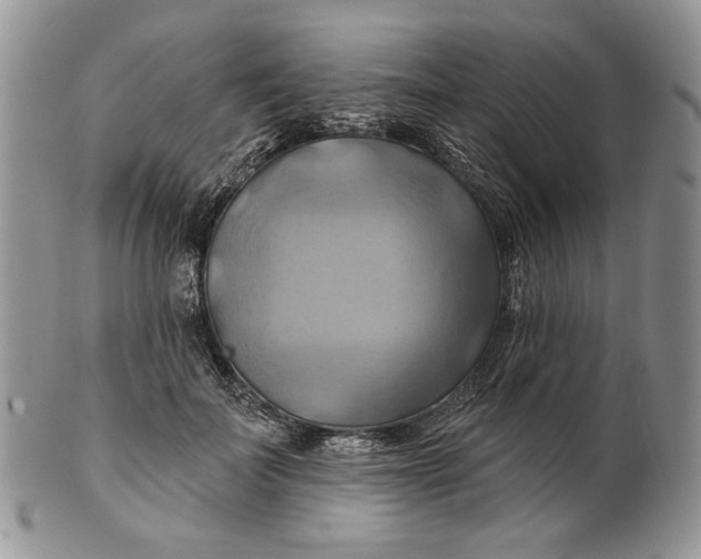 X0000100780699200807101817