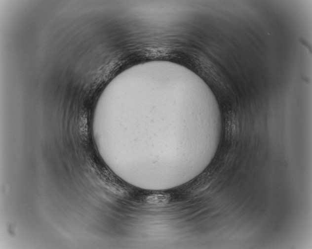 X0000100780700200807101817