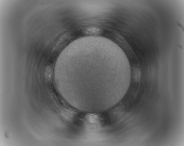 X0000100780701200807101817