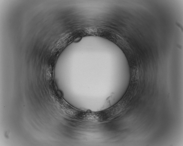 X0000100780702200807101817