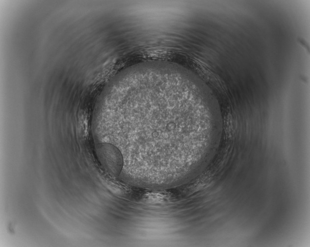 X0000100780703200807101817