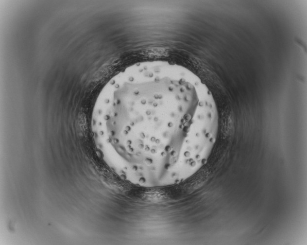 X0000100780704200807101817