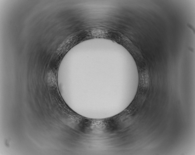 X0000100780705200807101817