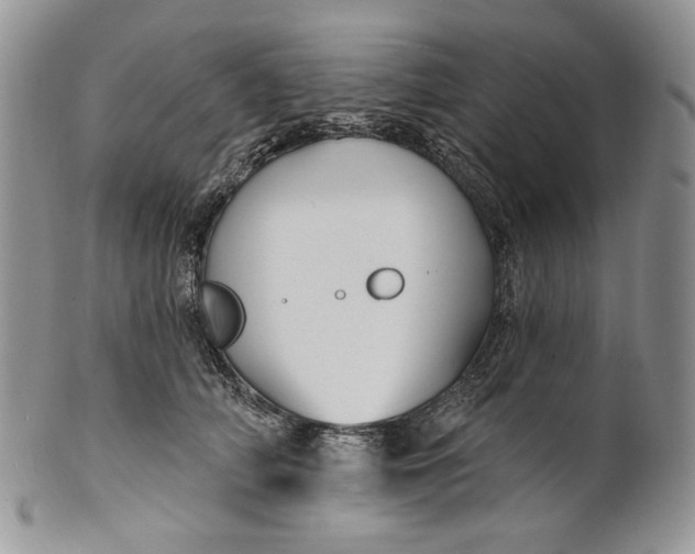 X0000100780706200807101817