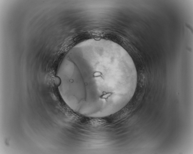 X0000100780707200807101817