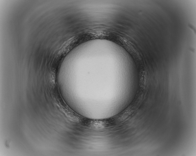 X0000100780710200807101816