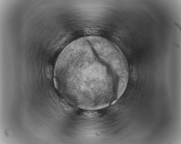 X0000100780712200807101816