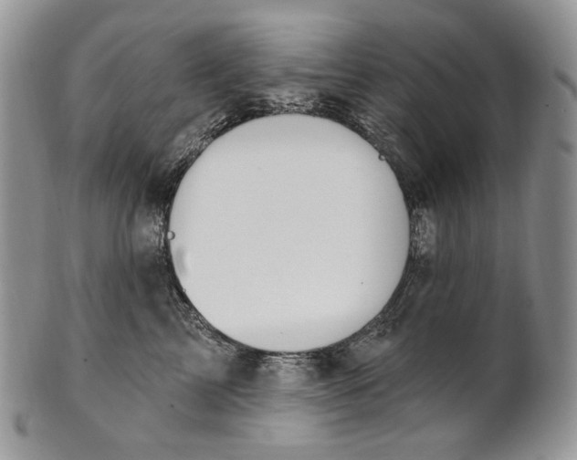 X0000100780713200807101816