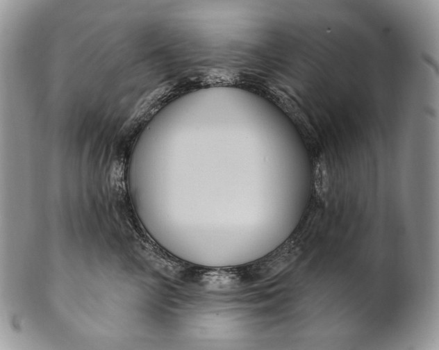 X0000100780714200807101816