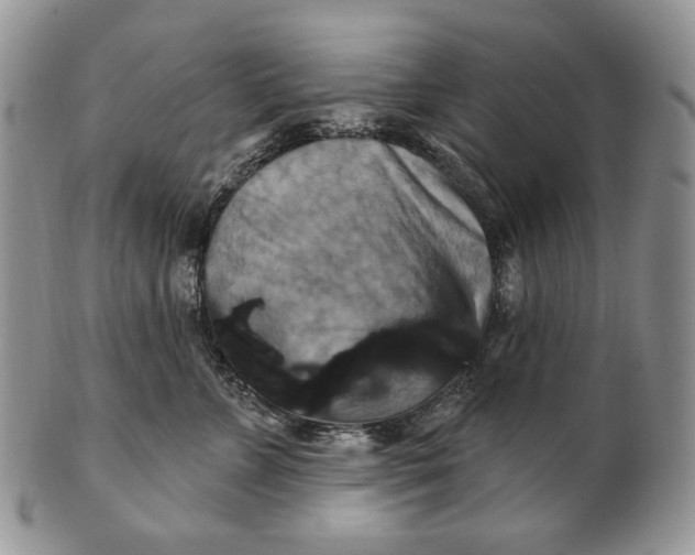 X0000100780715200807101816