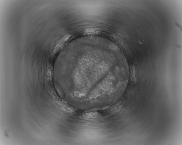 X0000100780716200807101816