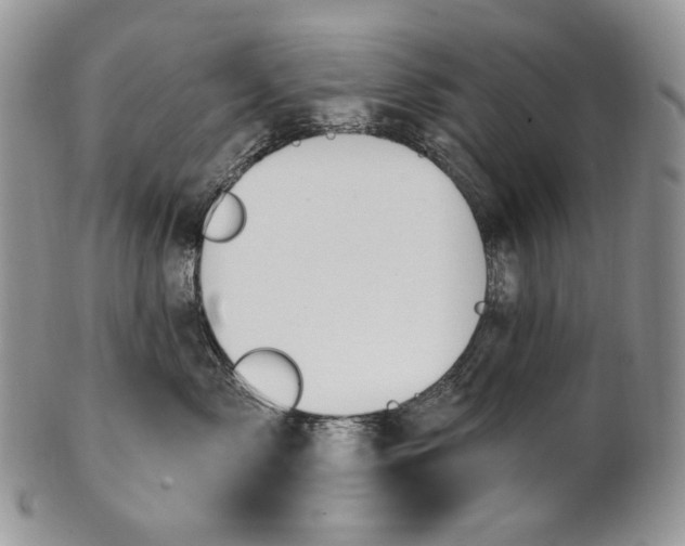 X0000100780717200807101816