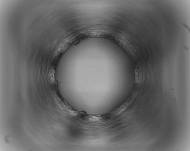 X0000100780718200807101816