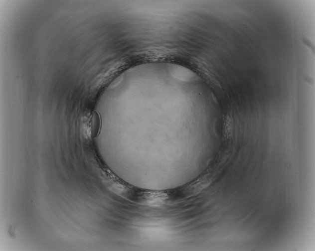 X0000100780719200807101816