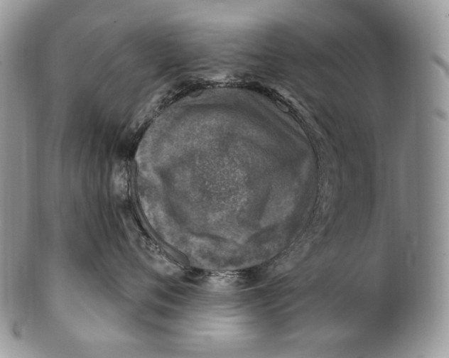 X0000100780720200807101816