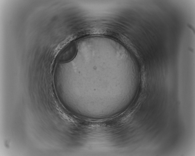 X0000100780721200807101816