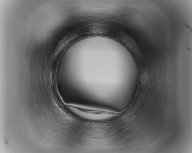 X0000100780722200807101816