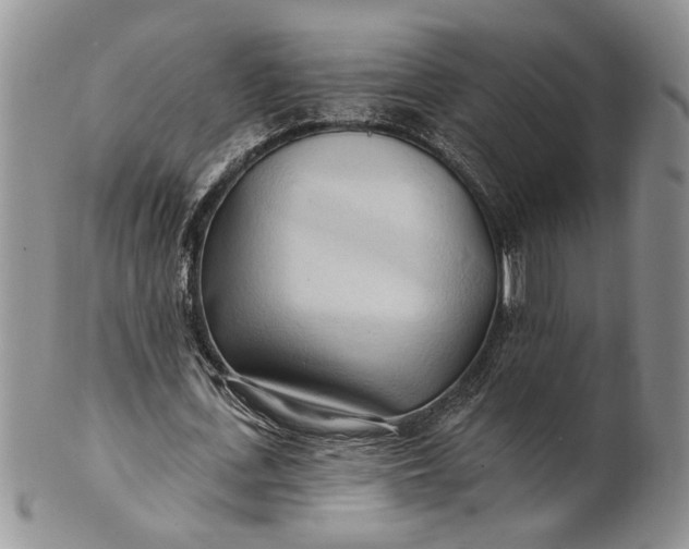 X0000100780723200807101816