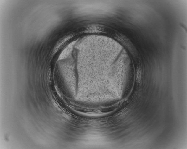 X0000100780724200807101816