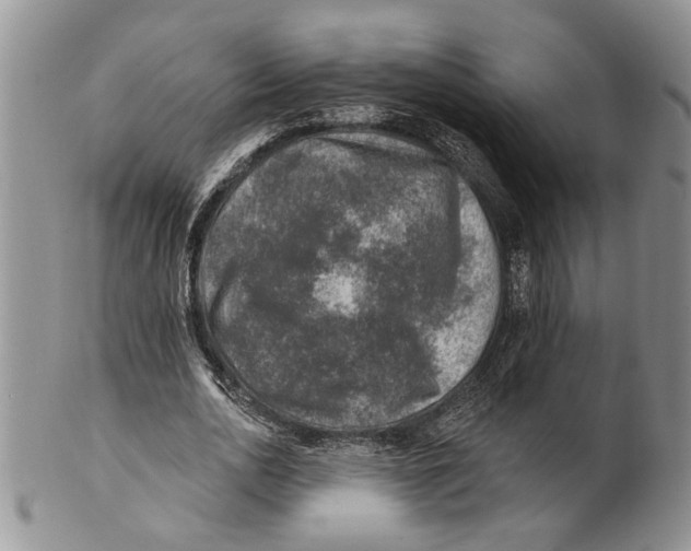 X0000100780726200807101816